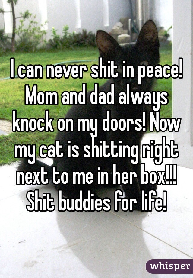 I can never shit in peace! Mom and dad always knock on my doors! Now my cat is shitting right next to me in her box!!!
Shit buddies for life!