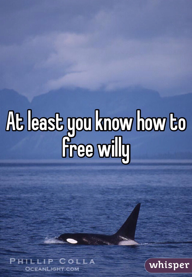 At least you know how to free willy