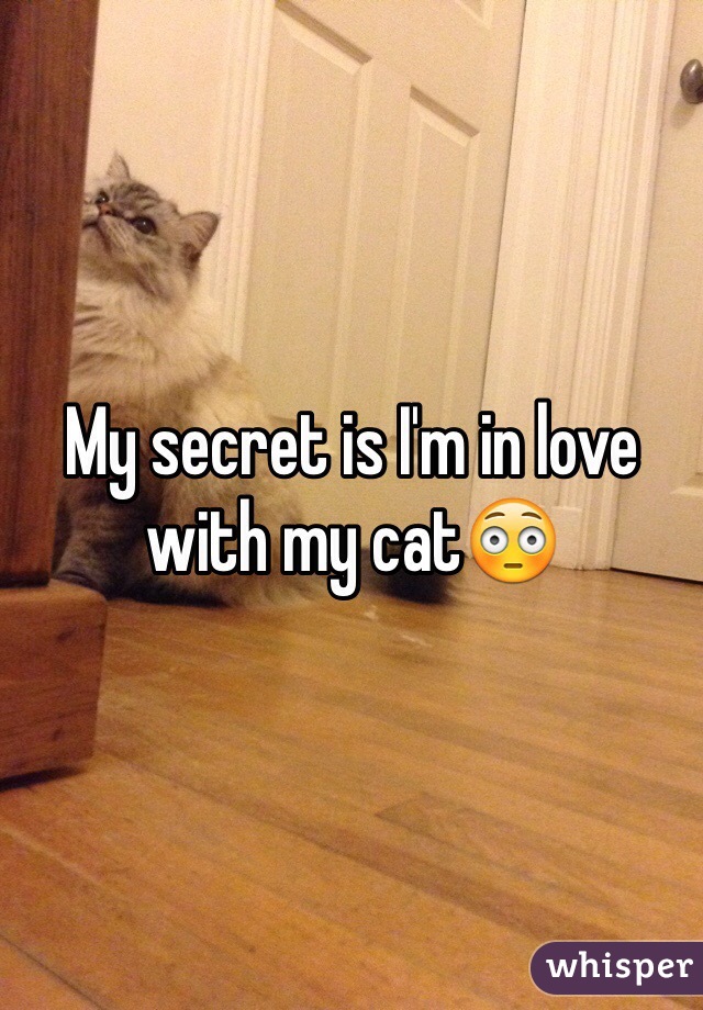 My secret is I'm in love with my cat😳