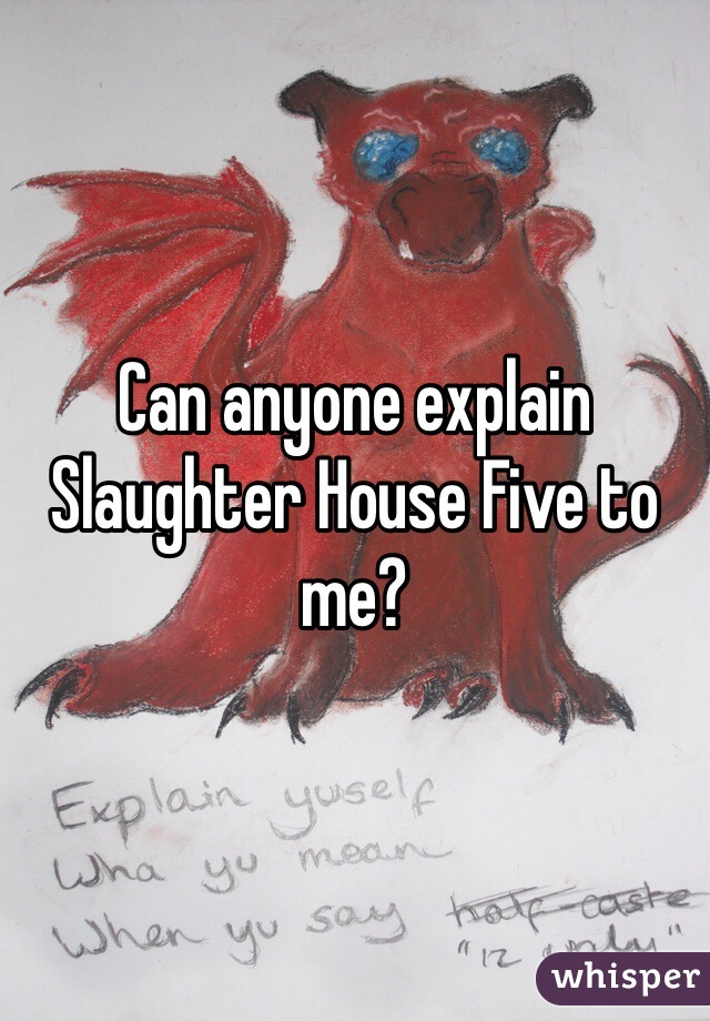 Can anyone explain Slaughter House Five to me?