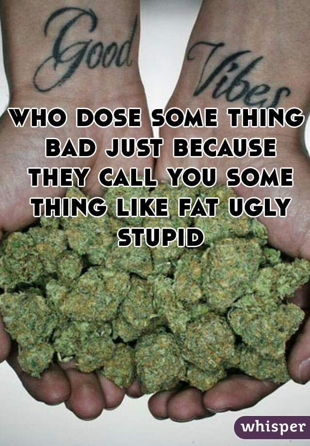 who dose some thing bad just because they call you some thing like fat ugly stupid