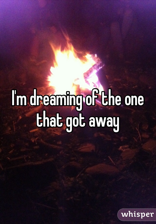 I'm dreaming of the one that got away 