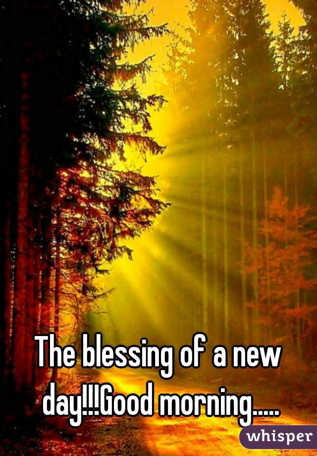 The blessing of a new day!!!Good morning.....
