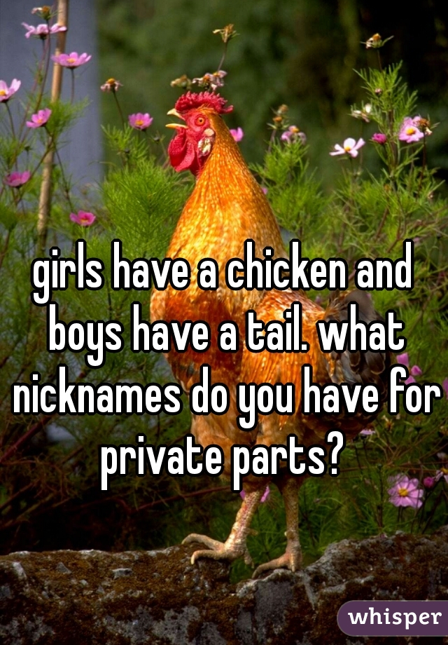 girls have a chicken and boys have a tail. what nicknames do you have for private parts? 