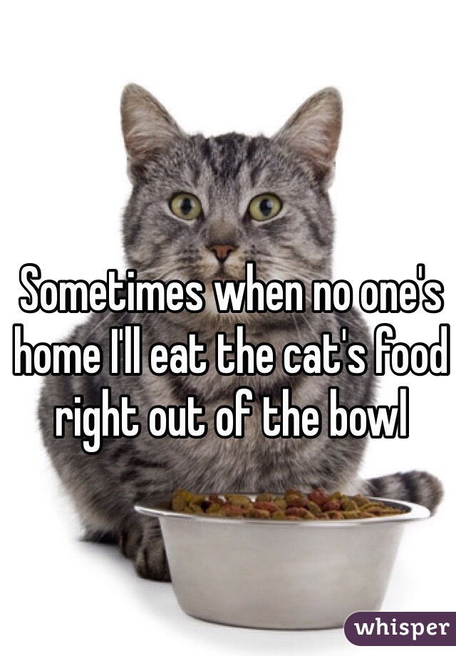 Sometimes when no one's home I'll eat the cat's food right out of the bowl