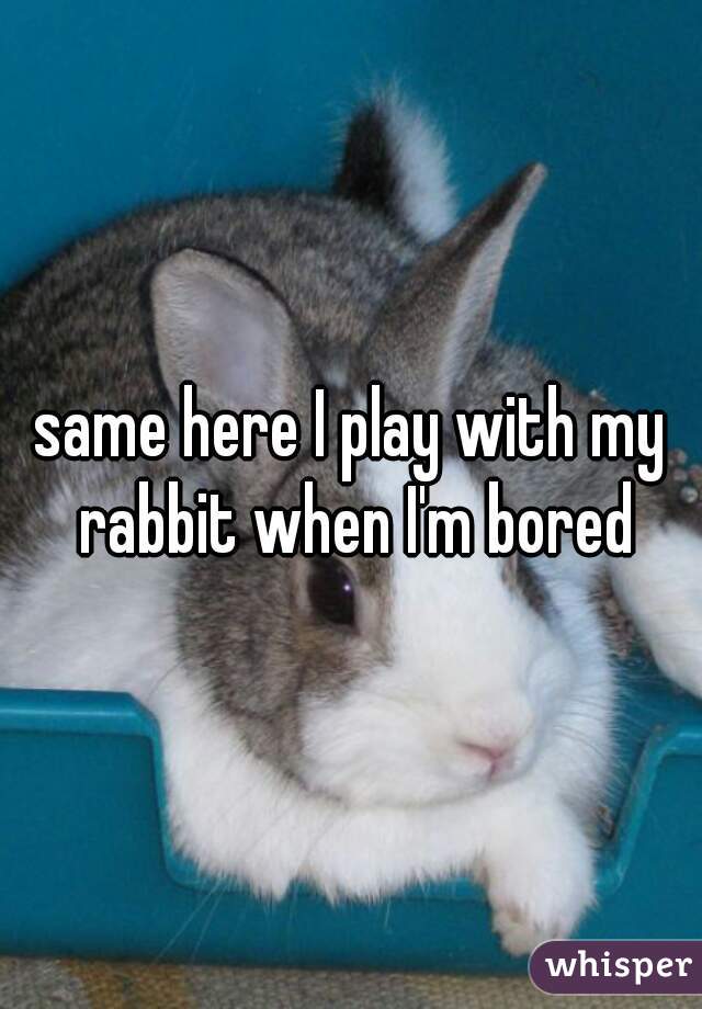 same here I play with my rabbit when I'm bored
