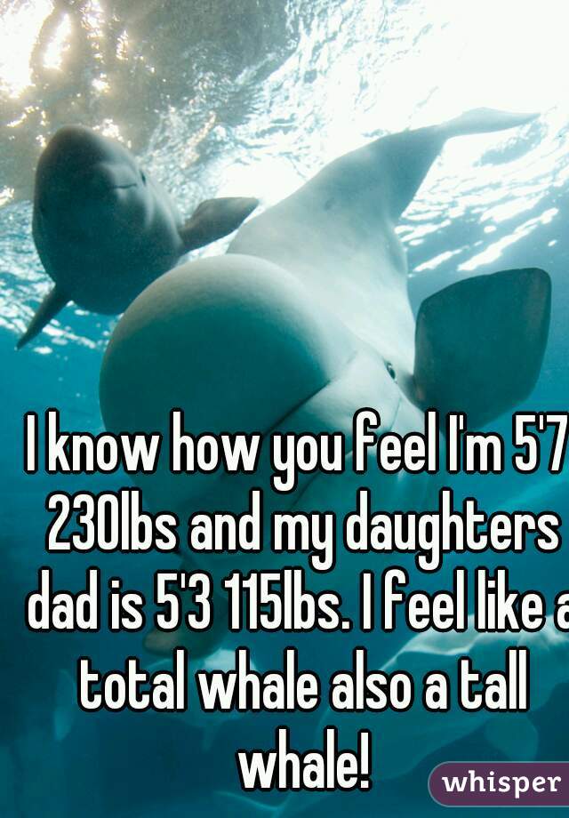 I know how you feel I'm 5'7 230lbs and my daughters dad is 5'3 115lbs. I feel like a total whale also a tall whale!