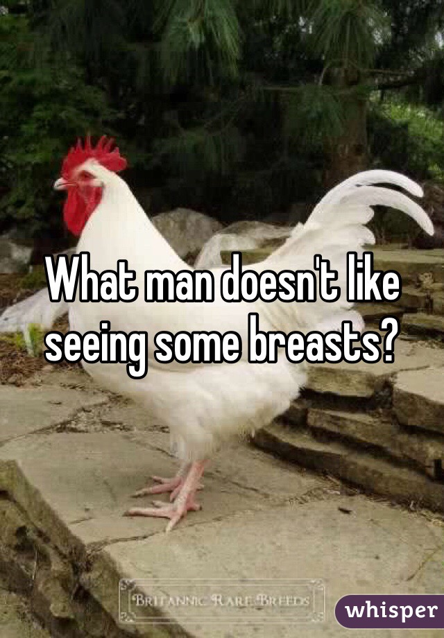What man doesn't like seeing some breasts?