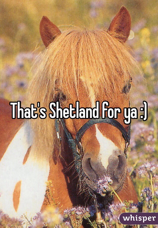 That's Shetland for ya :)