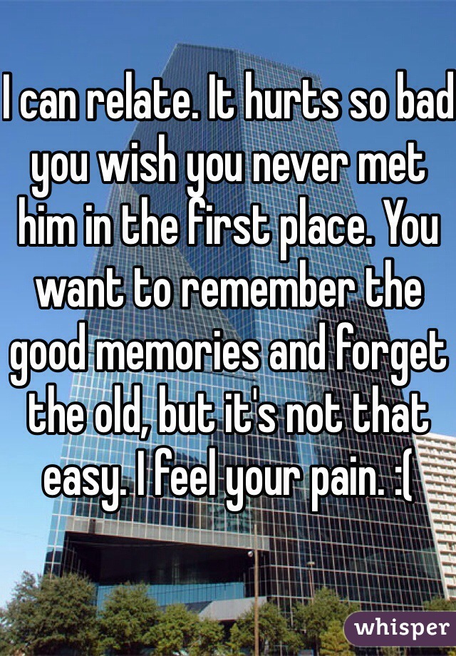 I can relate. It hurts so bad you wish you never met him in the first place. You want to remember the good memories and forget the old, but it's not that easy. I feel your pain. :( 
