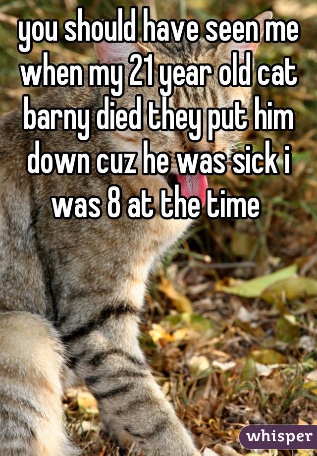 you should have seen me when my 21 year old cat barny died they put him down cuz he was sick i was 8 at the time 