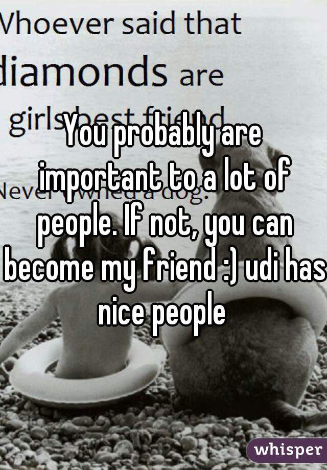 You probably are important to a lot of people. If not, you can become my friend :) udi has nice people 