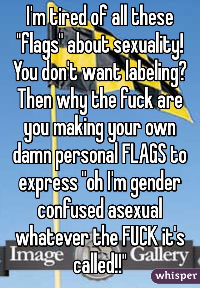 I'm tired of all these "flags" about sexuality! You don't want labeling? Then why the fuck are you making your own damn personal FLAGS to express "oh I'm gender confused asexual whatever the FUCK it's called!!"