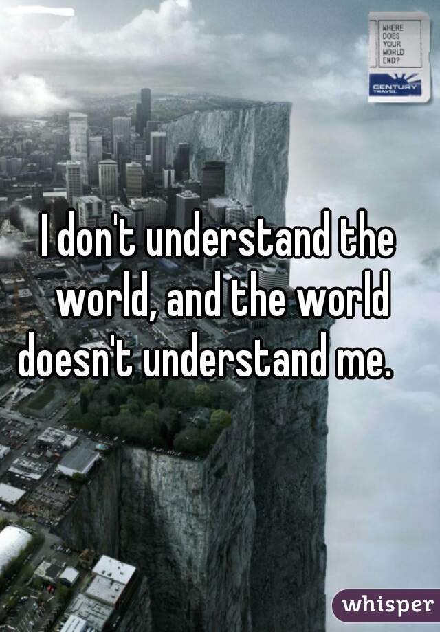 I don't understand the world, and the world doesn't understand me.    