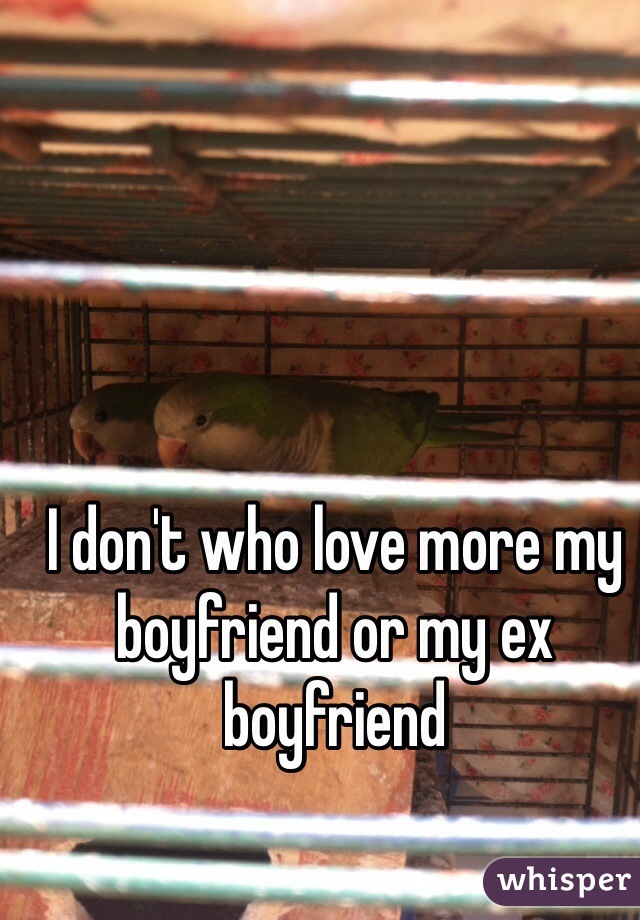 I don't who love more my boyfriend or my ex boyfriend 