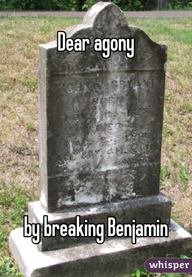 Dear agony 






by breaking Benjamin