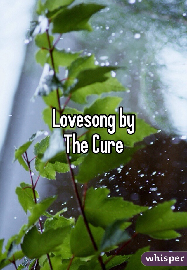 Lovesong by
The Cure