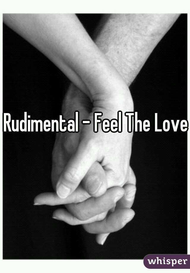 Rudimental - Feel The Love