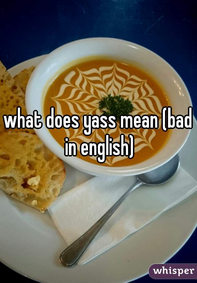 what does yass mean (bad in english)