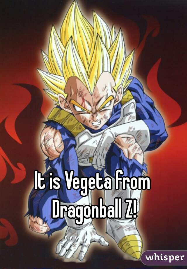 It is Vegeta from Dragonball Z!