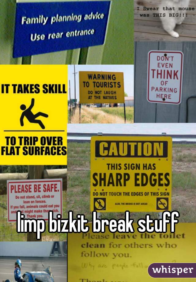 limp bizkit break stuff 