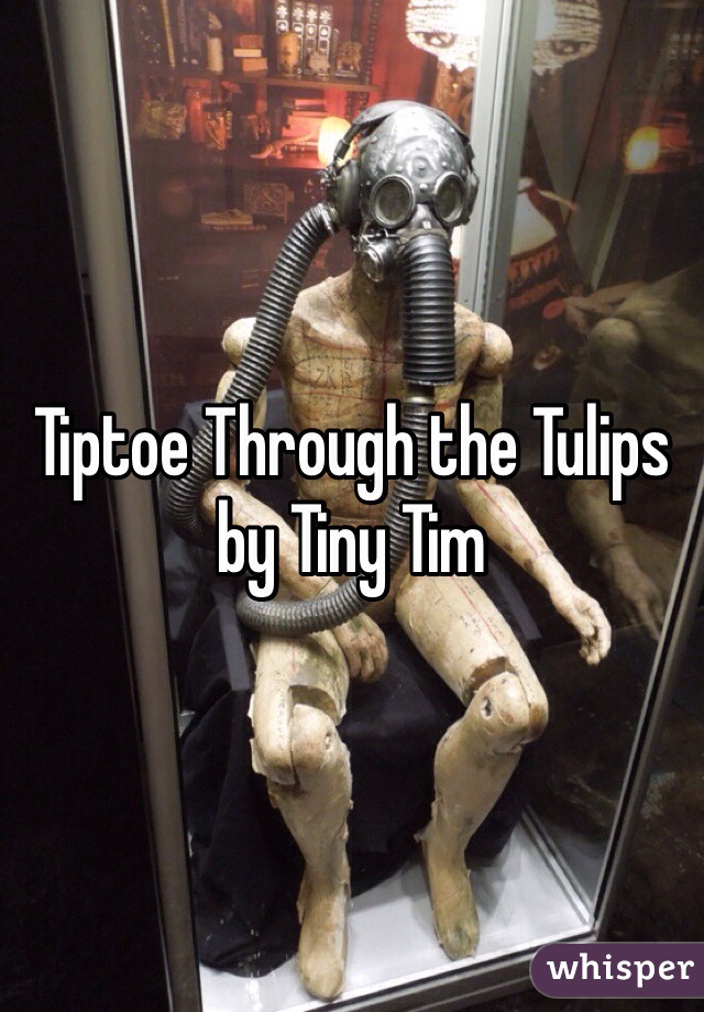 Tiptoe Through the Tulips by Tiny Tim