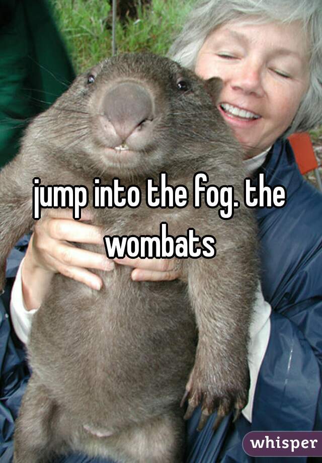 jump into the fog. the wombats 