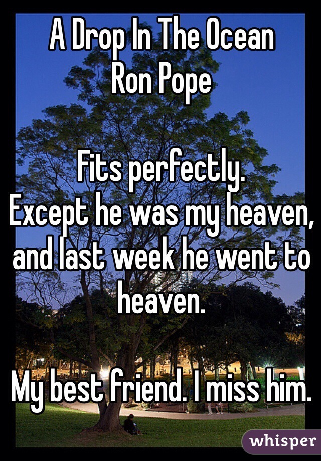 A Drop In The Ocean
Ron Pope

Fits perfectly. 
Except he was my heaven, and last week he went to heaven. 

My best friend. I miss him.