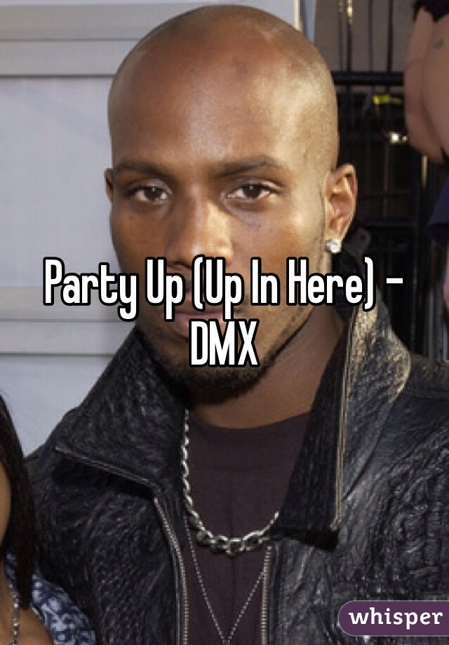 Party Up (Up In Here) - DMX