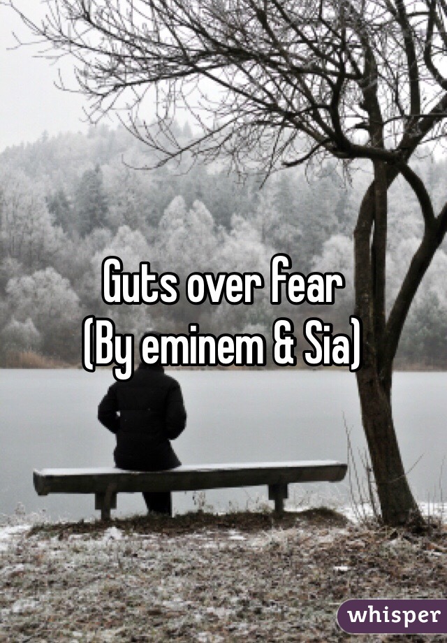 Guts over fear
(By eminem & Sia)