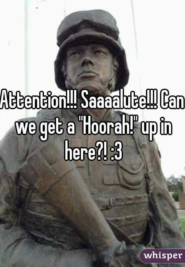 Attention!!! Saaaalute!!! Can we get a "Hoorah!" up in here?! :3