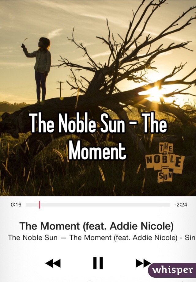 The Noble Sun - The Moment 