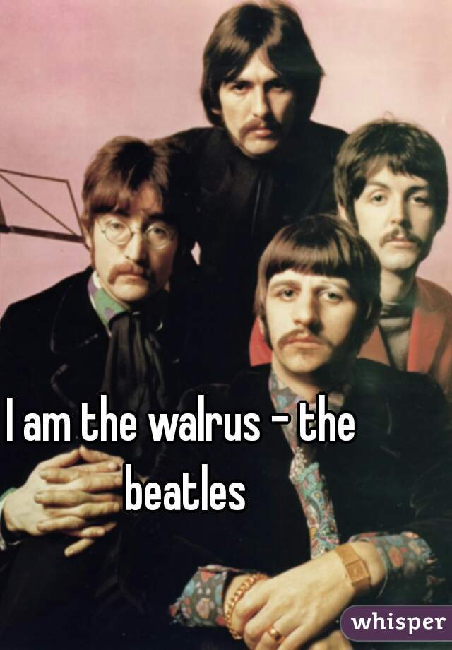 I am the walrus - the beatles