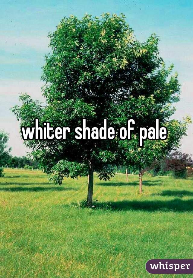 whiter shade of pale 