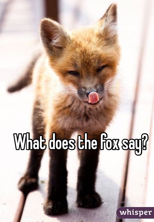 What does the fox say?