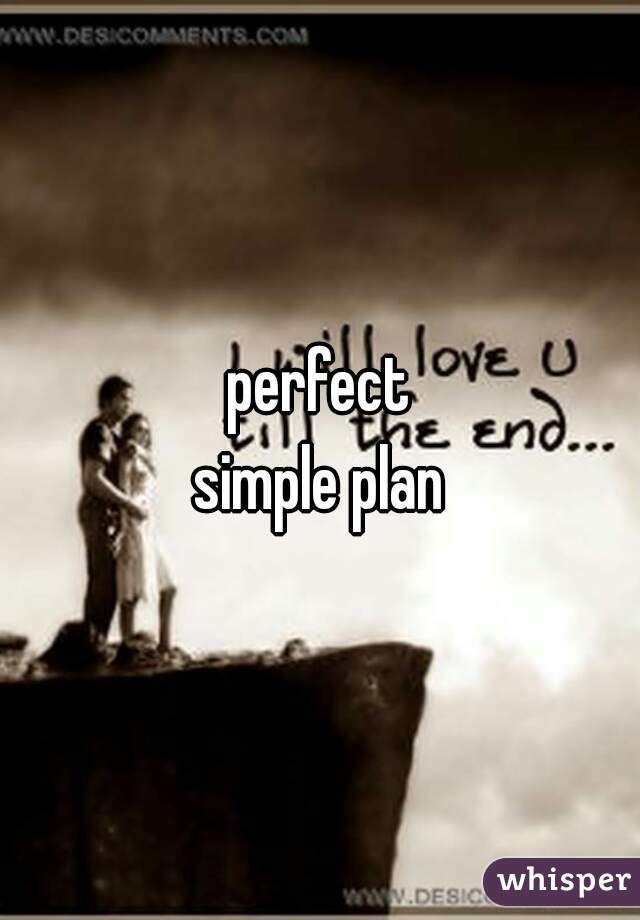 perfect
simple plan