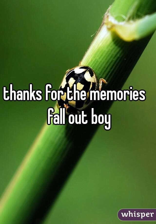 thanks for the memories   fall out boy