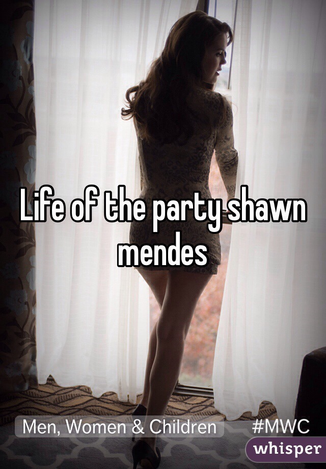 Life of the party shawn mendes