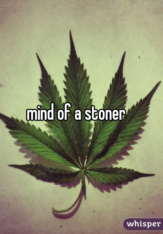 mind of a stoner   