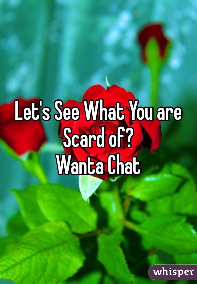 Let's See What You are Scard of?
Wanta Chat