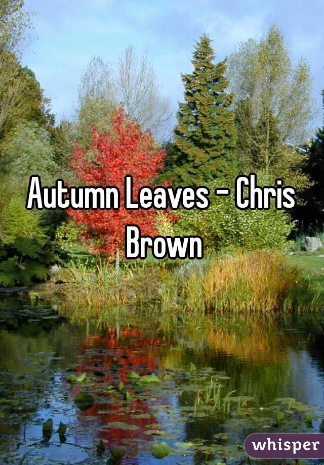 Autumn Leaves - Chris Brown