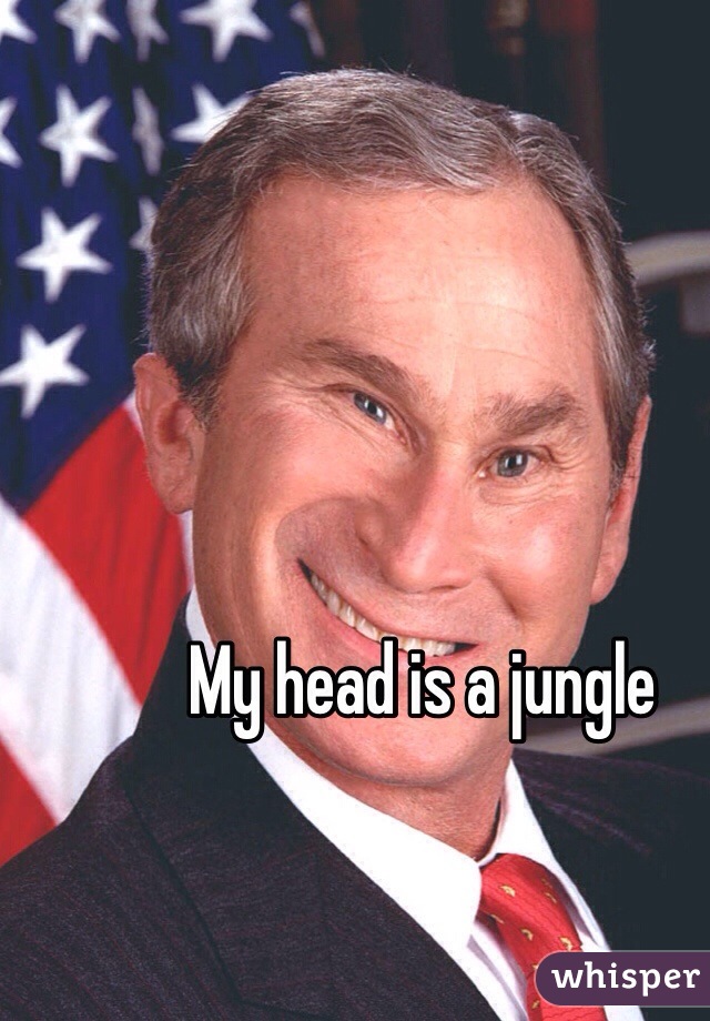 My head is a jungle 