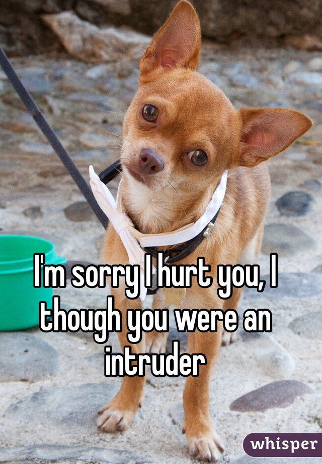 I'm sorry I hurt you, I though you were an intruder 