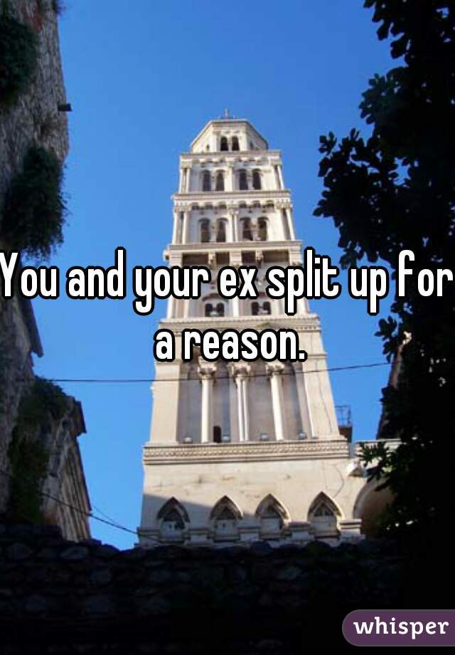 You and your ex split up for a reason.
