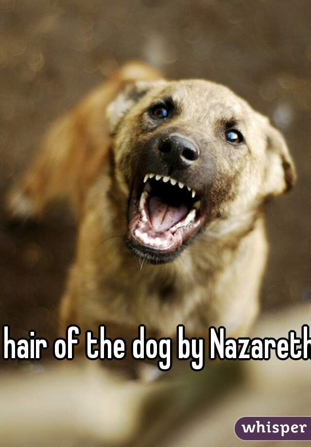 hair of the dog by Nazareth