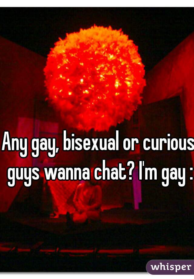 Any gay, bisexual or curious guys wanna chat? I'm gay :)
