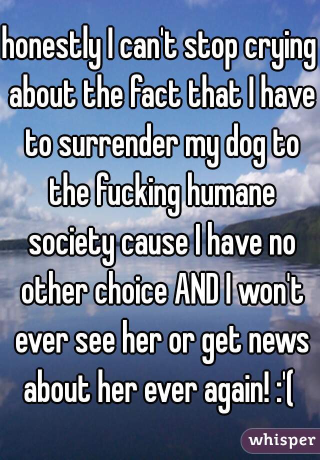 honestly I can't stop crying about the fact that I have to surrender my dog to the fucking humane society cause I have no other choice AND I won't ever see her or get news about her ever again! :'( 