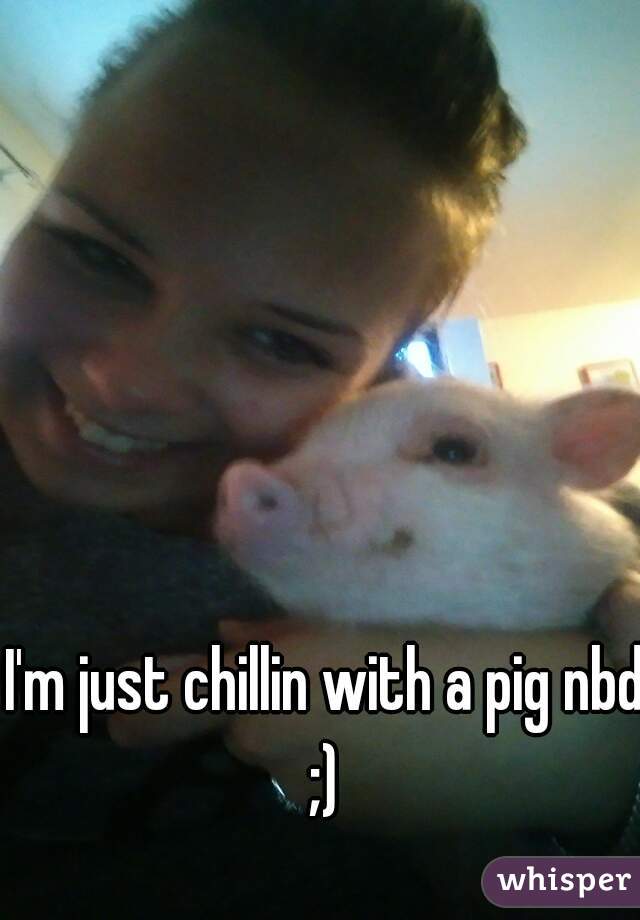 I'm just chillin with a pig nbd ;) 