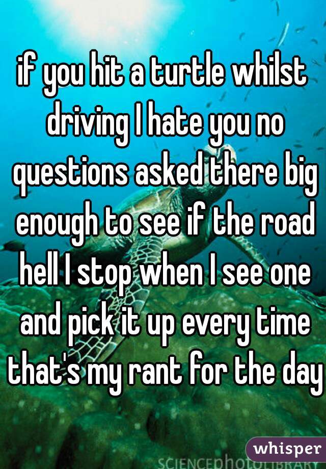 if you hit a turtle whilst driving I hate you no questions asked there big enough to see if the road hell I stop when I see one and pick it up every time that's my rant for the day