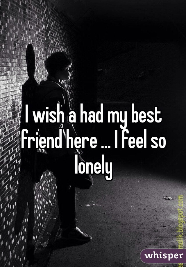 I wish a had my best friend here ... I feel so lonely 
